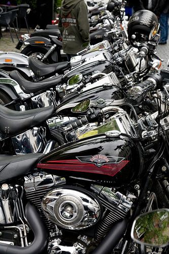 Harley Davidson motoren op een rij
