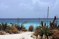 Plage de Malmok
