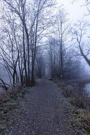 Pad in de mist van Teresa Bauer
