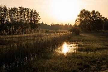 Vroege vogels zien de zon opkomen over Oudenbosch van Nature Laurie Fotografie