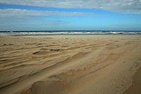 sporen op het strand...