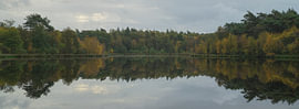 Autumn in Holtingerveld – Drenthe (Netherlands) by Marcel Kerdijk
