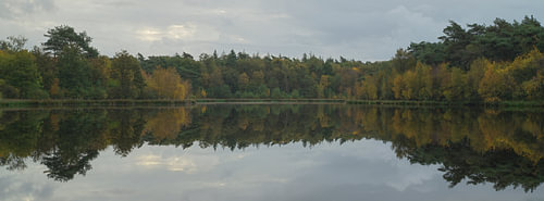 L'automne à Holtingerveld - Drenthe (Pays-Bas)