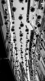 Sunflowers over the street in Avignon by Flatfield