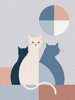 Dreiklang der Stille – Die Katzen