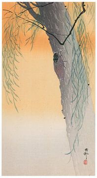 Ohara Koson - Große braune Zikade und Weide (bearbeitet) von Peter Balan