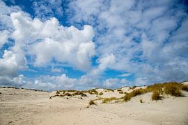 Terschelling, avec ses vastes dunes le long de la côte de la mer du Nord,  Hollande