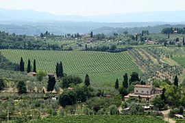 Tuscan landscape by Sander Miedema