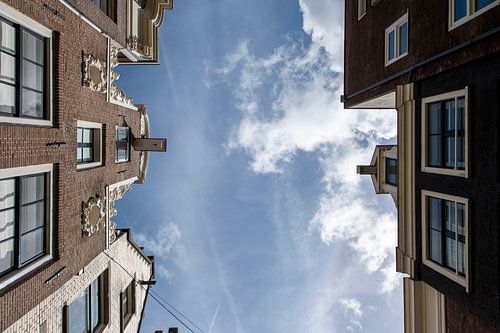 Hoog Sammy, kijk omhoog Sammy!