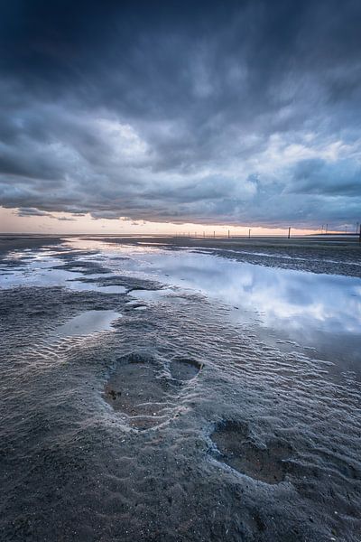 Footsteps of a giant by Peter Nolten