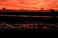 Stunning Sunset Landscape In Everglades Florida America