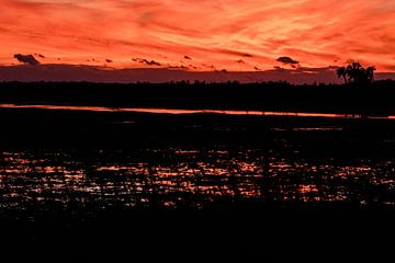 Geweldige zonsondergang in Everglades Florida Amerika van Part of the vision