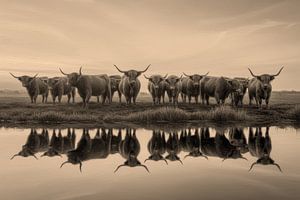Schottische Highlander am Wasser, Sepia-Ölgemälde