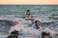 Mer Baltique : Plage avec épis près de Ahrenshoop au coucher du soleil (format paysage) par t.ART Aperçu