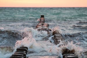 Ostsee: Strand mit Buhnen bei Ahrenshoop  im Abendrot (Querformat)