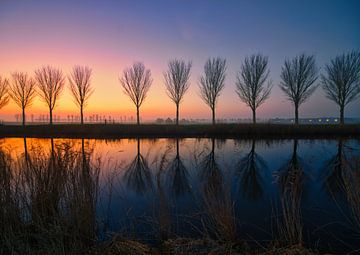 bomen reflectie bij zonsopkomst van peterheinspictures