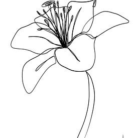 Lilie einzeilige Zeichnung (digital) von AnkieArt