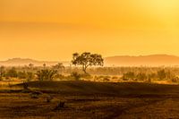 Goldene Stunde im afrikanischen Stil