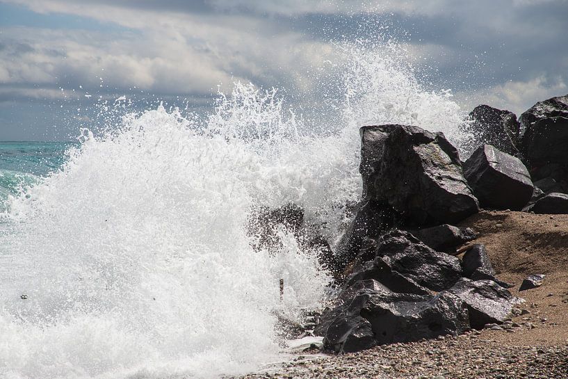 The world of the raging sea by Ton Tolboom