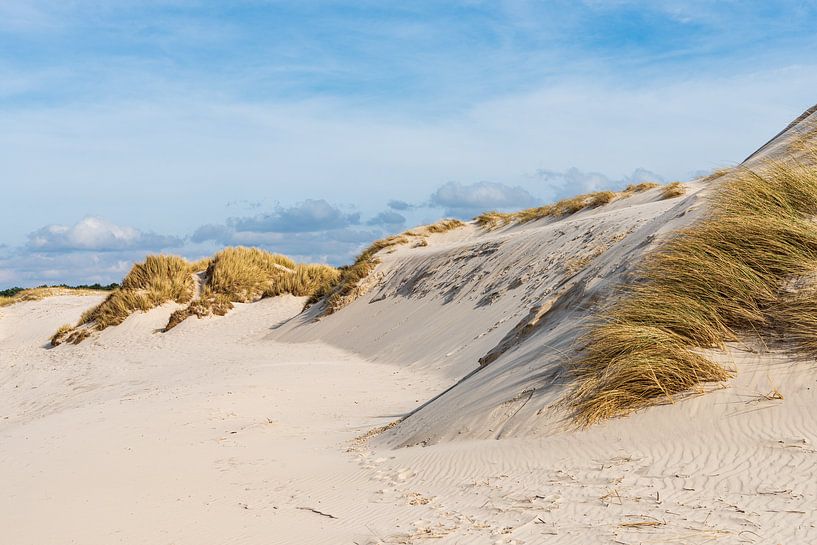 The white dunes of Hargen by Rob Donders Beeldende kunst