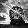 The radial engine in black and white by Ingo Laue