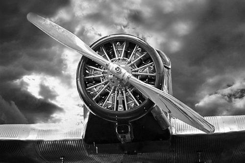 The radial engine in black and white