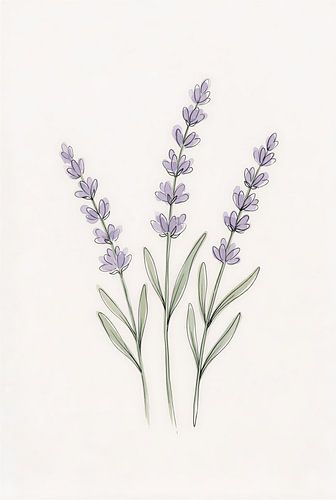 Minimalist Lavender Sprigs Watercolor Line Art Print