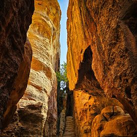 Petra Jordanië van Rene van Heerdt