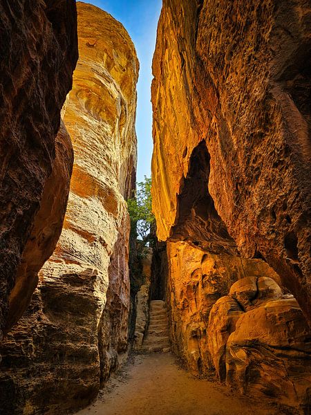 Petra Jordan by Rene van Heerdt