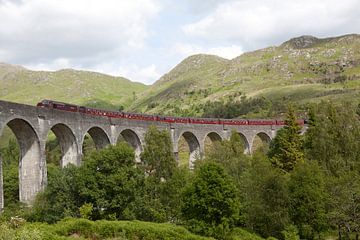 Scotland Harry Potter express by Kees van Dun