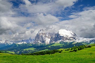 Seiser Alm panorama in de Dolomieten in de lente