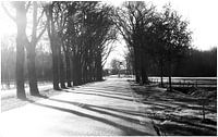Landweg in Borger