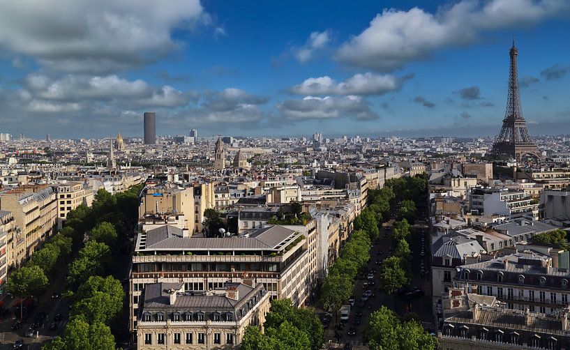 Cityscape of tree-lined boulevards and the Eifel Tower in Paris, France, seen from the top of the Ar by Jan Kranendonk