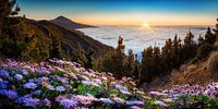 Landscape from the island of Tenerife in the Canary Islands at sunset.