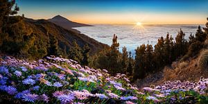 Landschaft von der Insel Teneriffa auf den Kanaren zum Sonnenuntergang.