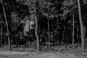 Bäume, Sand und Frieden in Schwarz und Weiß von Jolanda de Jong-Jansen