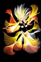 I love dancing Samba Night Vibes