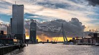 Erasmusbrücke von der Brücke der Königin aus von Prachtig Rotterdam Miniaturansicht