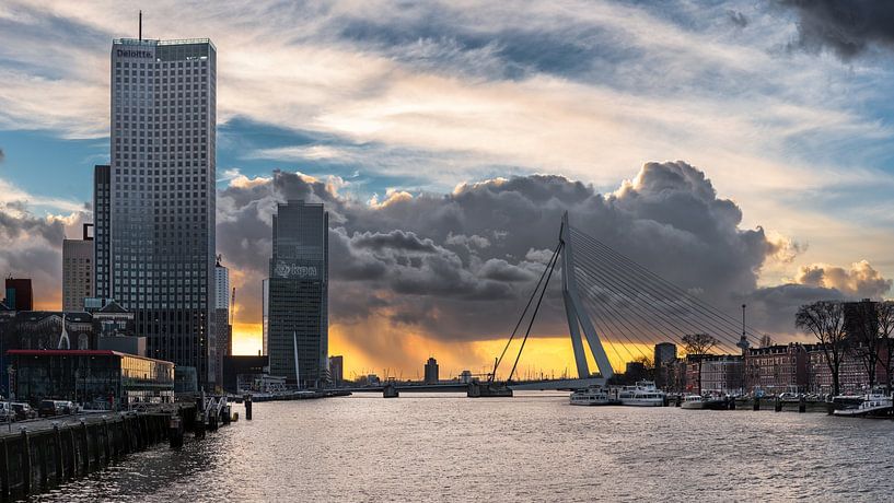 Erasmusbrug vanuit Koninginnebrug van Prachtig Rotterdam