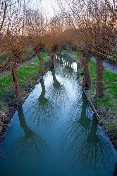 Vue de la rivière Minstroom près de l'Abstederdijk à Utrecht. One2expose Wout Kok Photographie. par Wout Kok