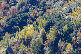 Lumière d'automne dans la vallée du Stillach