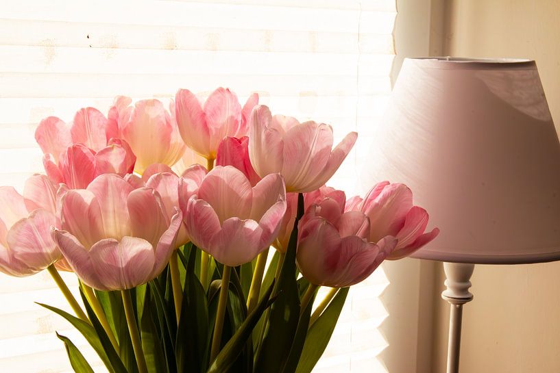 eingezogener Frühling von Jannika Russ