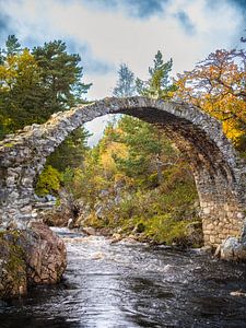Sargbrücke (Carrbridge)