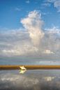 Boei op het strand van Sankt Peter-Ording van Michael Valjak thumbnail