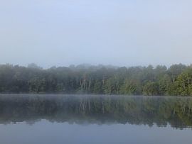 Mystisches Foto Wald im Morgennebel von Jacqui Huijbers-Bolt