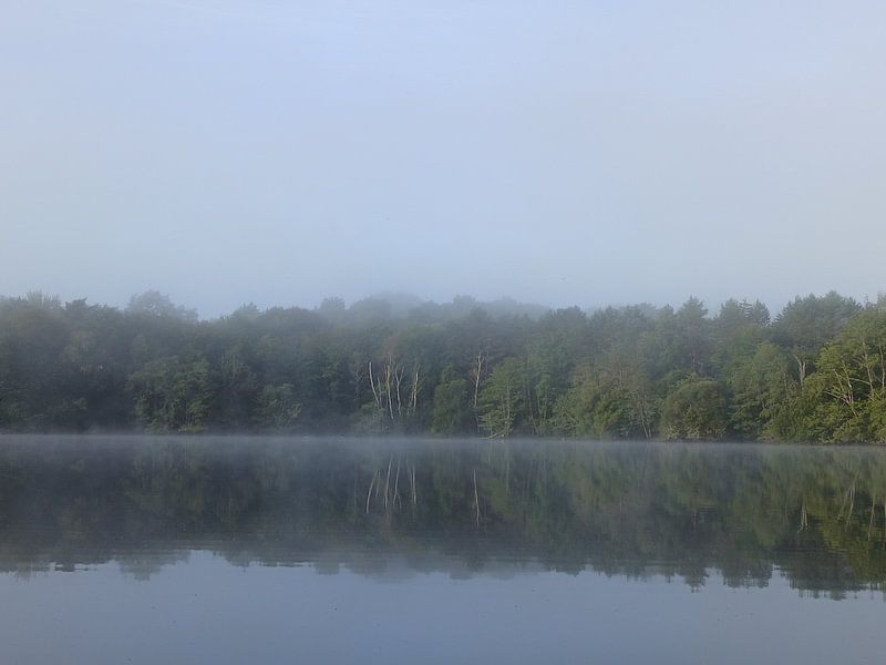 Mystical photo forest in morning mist by Jacqui Huijbers-Bolt