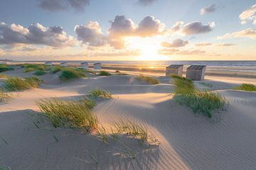 Rise (duinen Oostkapelle) van Thom Brouwer
