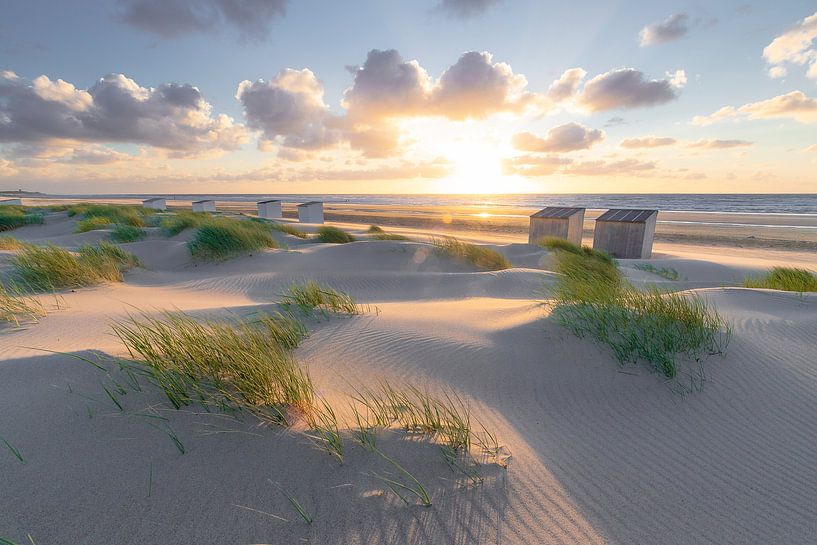 Rise (dunes Oostkapelle) by Thom Brouwer