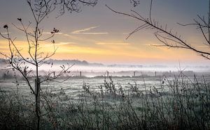 forêt d'ulvenhout sur Peter Smeekens