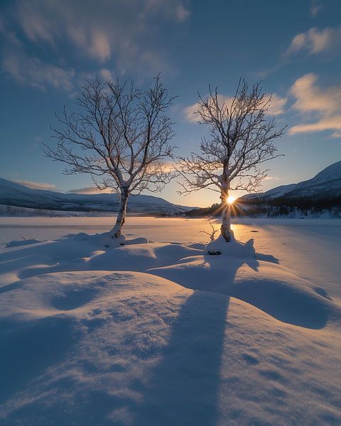 Frostglanz im Tagesanbruch von fernlichtsicht